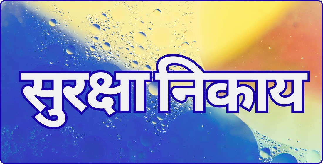 सुरक्षा निकाय